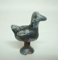 Pájaro