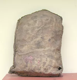 Capacho (agrícola)