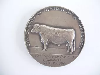 Medalla