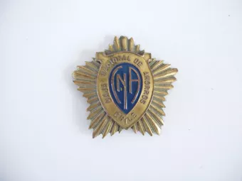 Insignia (artefacto de identificación)