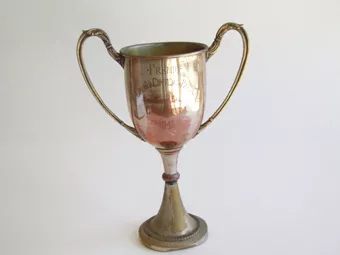 Copa amatoria