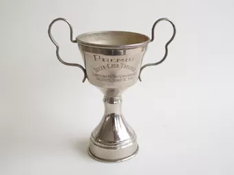 Copa amatoria