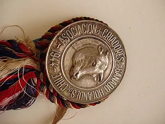 Medalla
