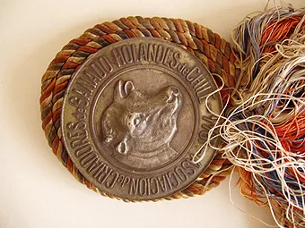 Medalla