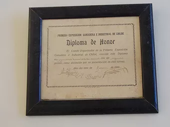 Primera exposición Ganadera e Industrial de Chiloé, concede este diploma a la yegua chiloxi. 28/02/1942 