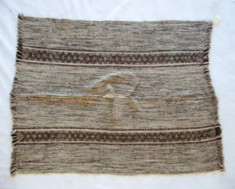Poncho