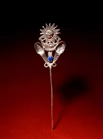 Tupu