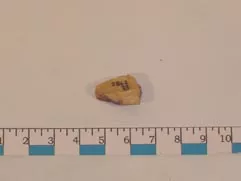 Pesa (componente de balanza)
