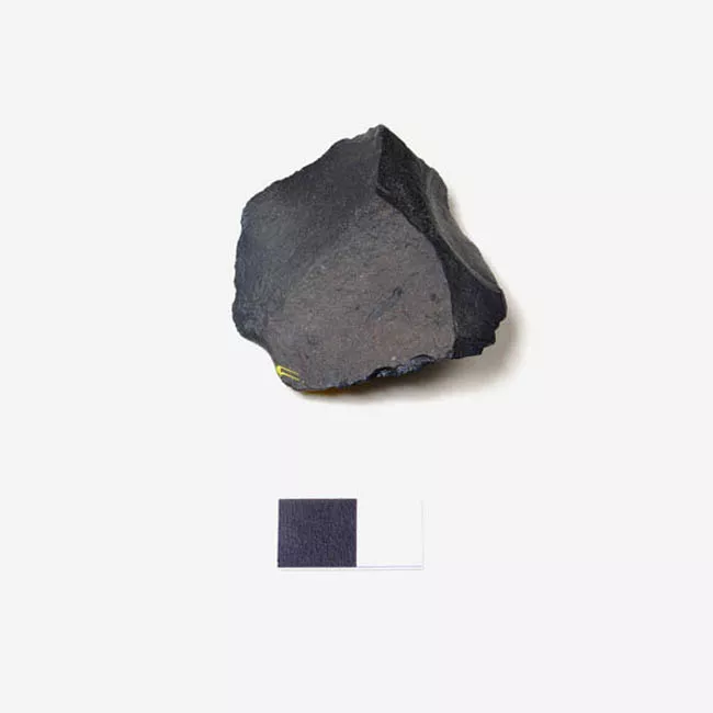 Raedera