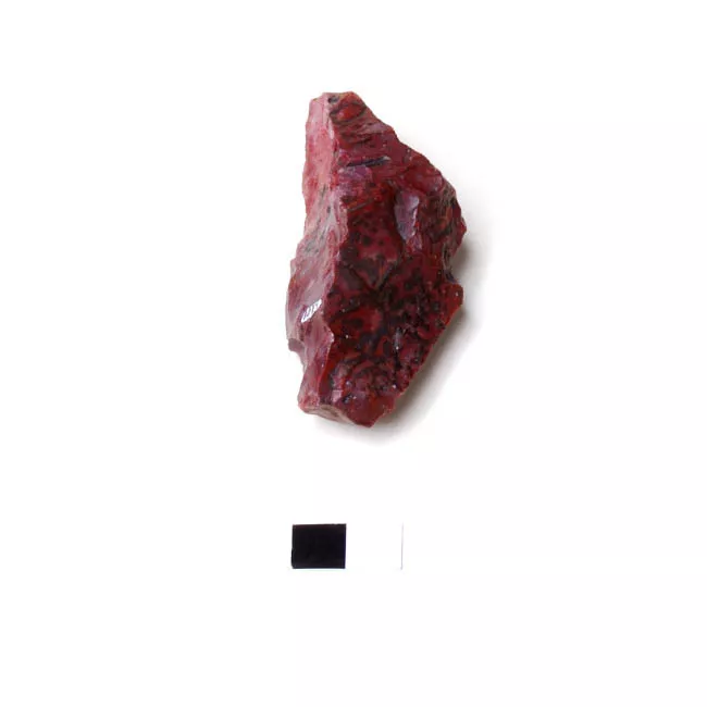 Raedera