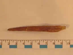 Aguja (arqueológico y etnográfico)