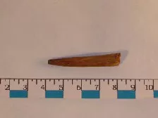 Palillo