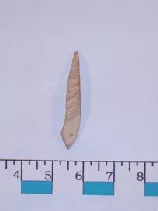 Vástago (arqueología)