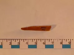 Palillo