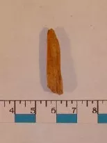 Artefacto