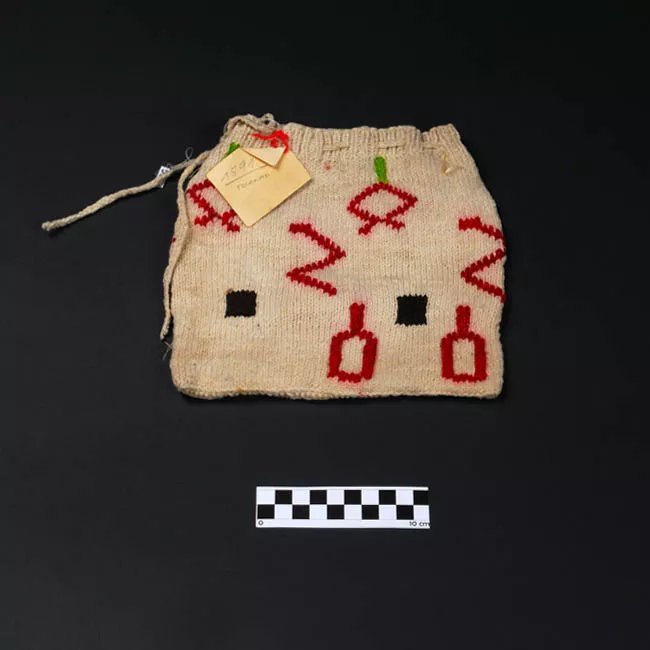 Bolsa (contenedor)