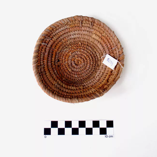 Cesta