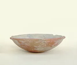 Escudilla