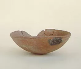 Escudilla