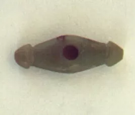 Tortera