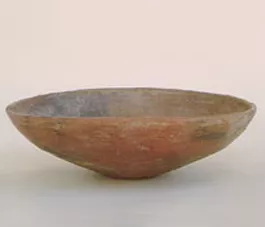 Escudilla