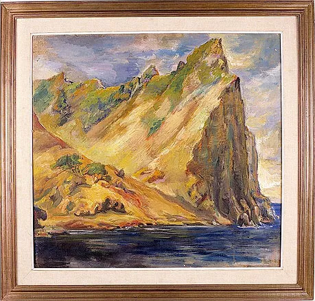 Valle de Lord Anson