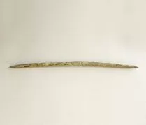 Aguja (arqueológico y etnográfico)