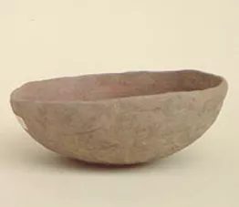 Escudilla