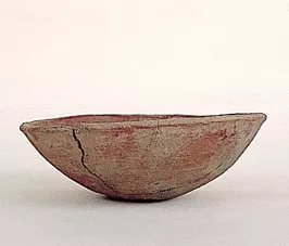 Escudilla
