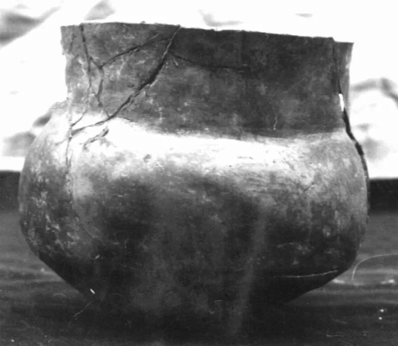 Olla (arqueológica y etnográfica)