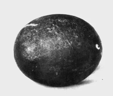 Pulidor (arqueológico)