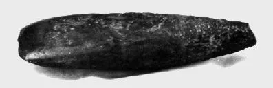 Hacha (lítica)