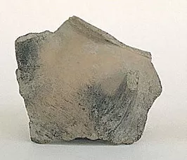 Olla (arqueológica y etnográfica)