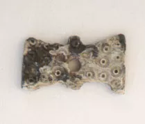 Tortera