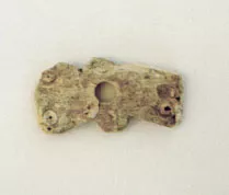 Tortera