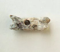 Tortera