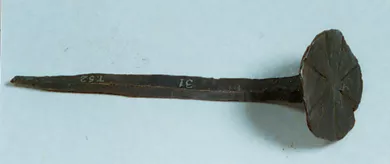 Clavo (sujeción)