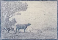 Vacas