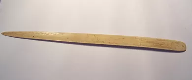Espátula