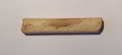 Copuna
