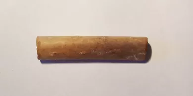 Copuna
