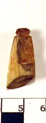 Pesa (componente de balanza)