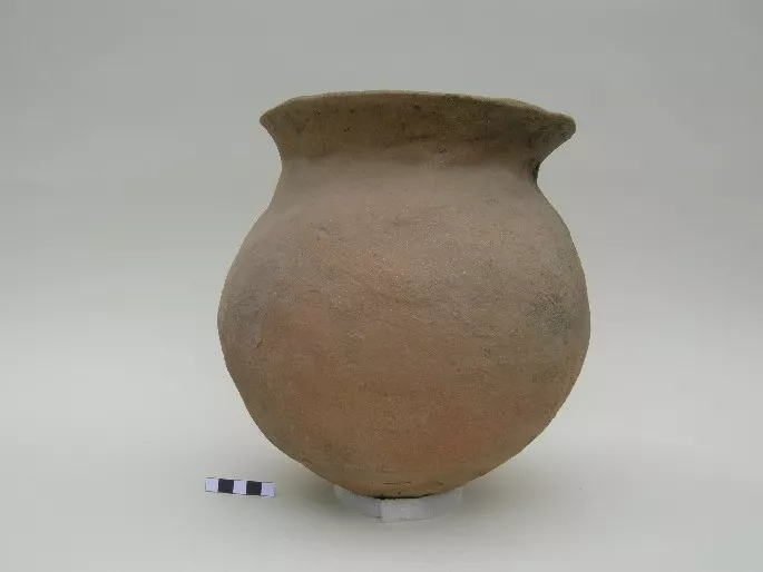 Olla (arqueológica y etnográfica)
