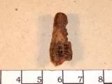 Pesa (componente de balanza)