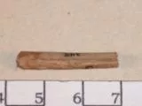Palillo
