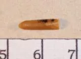 Palillo