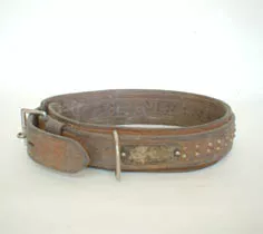 Collar para perro