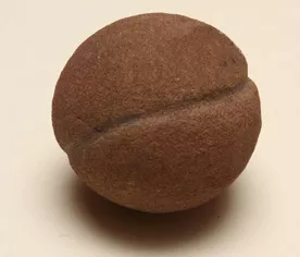 Pesa de red