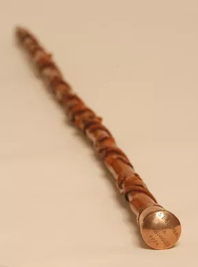 Bastón