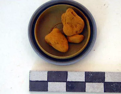 Pigmento
